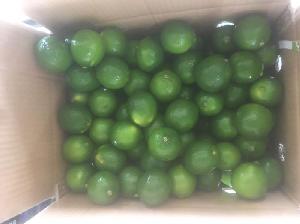 Green lemon/  Fresh   lime /  fresh  lemon seedless