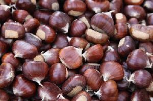 High Quality Chest Nuts for Sale At Very Good Prices