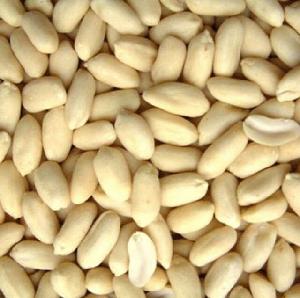 raw peanuts kernel Top quality 100% natural raw white skin skinless peanut