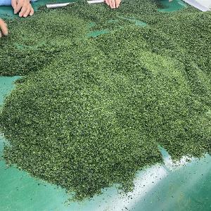 Green  Seaweed   Flavor  Sea Lettuce