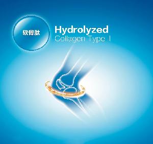  Hydrolyzed   Collagen  Type II