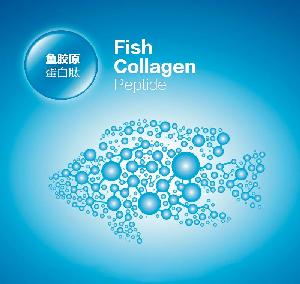 Hydrolyzed Fish Collagen