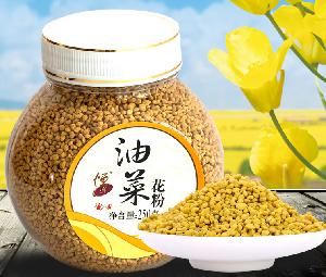 rapeseed pollen