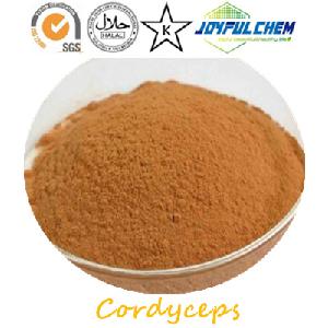 Cordyceps Extract Polysaccharide