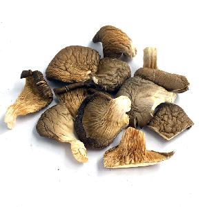 Oyster mushroom (cuts/granule/powder)
