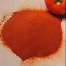 Spray Drying Tomato Powder