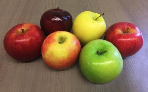  Apples  For  Sale 