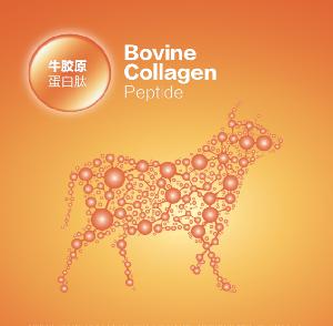 Hydrolyzed Bovine Collagen