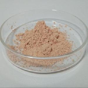 Factory Direct Bulk Apple  Polyphenols  Extract Wholesale