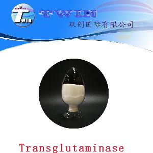  transglutaminase 