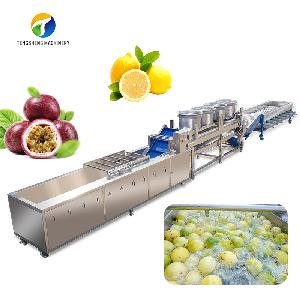 Passion fruit cleaning and air drying sorting production line