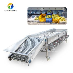 TS-FS670 Large stainless steel sorter fruit grading machine