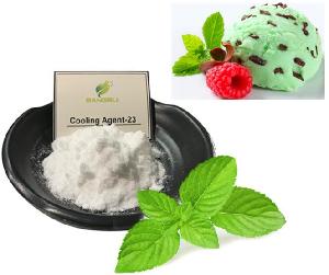 Super Cooler Additives Cooling Agent WS-23 For Chewing Gum