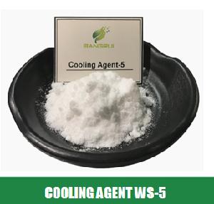 Hot Sale Food Grade Natural Cooling Agent WS-5 Powder