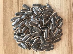 New Crop Black Sunflower Seeds 361