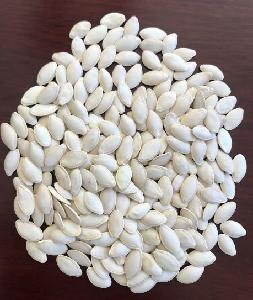Chinese New Crop Pumpkin Seeds in Shell