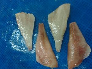 Frozen pacific  red   fish   fillets 
