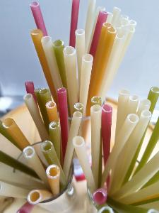 Eco Friendly Straws- RICE POWDER STRAWS