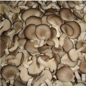 Fresh canned straw mushroom Fresh canned straw mushroom
