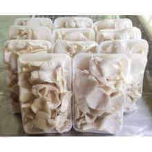 Fresh   Button   Mushroom 