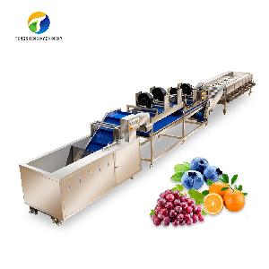 Industrial large-scale fruit cleaning, air drying and sorting machine