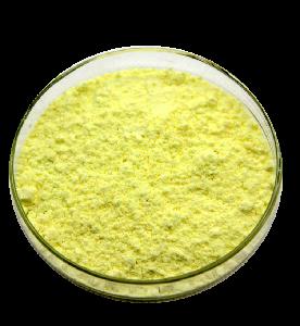 Sophora Japonica Extract Quercetin  Rutin   Powder  95%