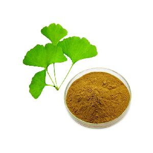 Pure  Natural  24% Flavonoids 6%  Lactone s 5ppm Ginkgo Biloba Leaf Extract Powder