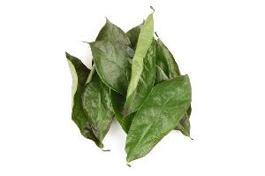 Vietnam Organic Herbal Dried Soursop Leaf / Graviola Leaves - Natural Herb
