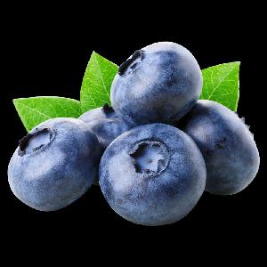 Blueberry  Bilberry  Huckleberry Fresh Fruits From Peru