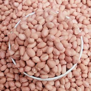 Wholesale raw peanut kernels groundnuts for sale