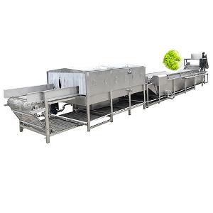 Li Gong industrial herb leaf vegetable washing machine cleaning machine high pressure air bubbles ve