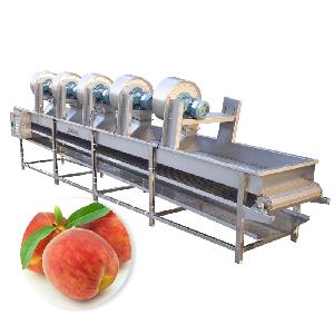 Industrial Raisin Fruit Cleaning Line Bean Sprout Cabbage Vegetable Washing And Drying Machine