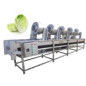 industrial cabbage Vegetable and Fruit Bubble washing Drying procession line