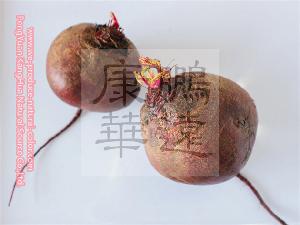 China food additive beetroot red colorant powder