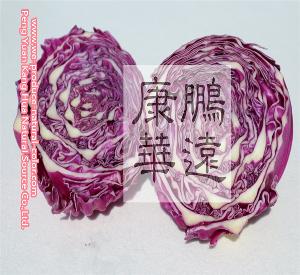  cabbage  red natural  purple /red pigment
