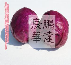 noodle using cabbage red colorant