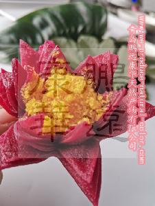 China food additive E163 anthocyanin colorant pigment purple sweet potato red