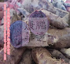 China anthocyanin purple sweet potato color natural colorant