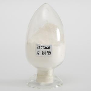  Fungal  Lactase, Acid Lactase, reduce the lactose intolerance, factory supply, 100,000ALU/g
