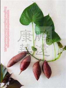 Chinese food additive natural colorant