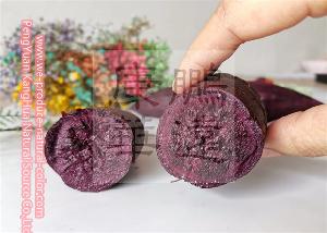 Chinese colorant producer anthocyanin radish red colorant