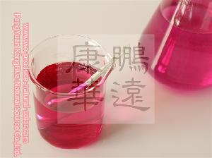 Chinese natural colorant company beet root red colorant for foods coloring