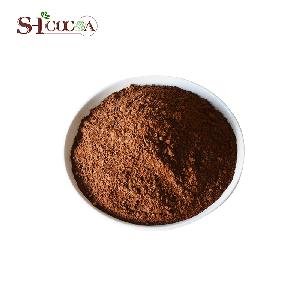 High quality Pure organic instant alkalized Cocoa powder