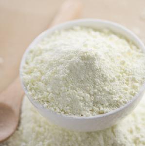Organic powdered coconut milk