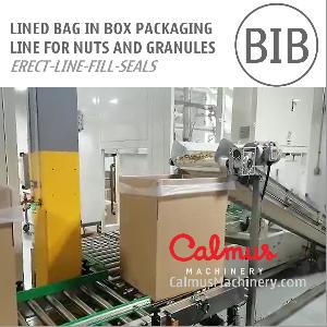 Lined Carton Bag in Box Line for Packaging Nuts and Granules