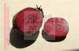 plant extract--food additive--foods coloant--beetroot red