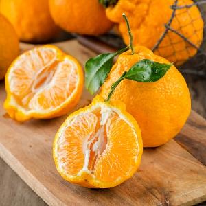 High quality  fresh   mandarin   orange  pulp for food additive