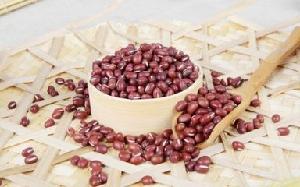 Raw Natural Golden Standard Red Kidney Beans