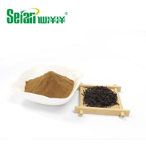 Top Grade Free Sample Organic Instant Black Tea Powder for Food