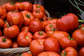 farm fresh tomatoes for sale
